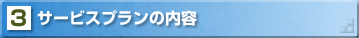 �T�[�r�X�v�����̓��e